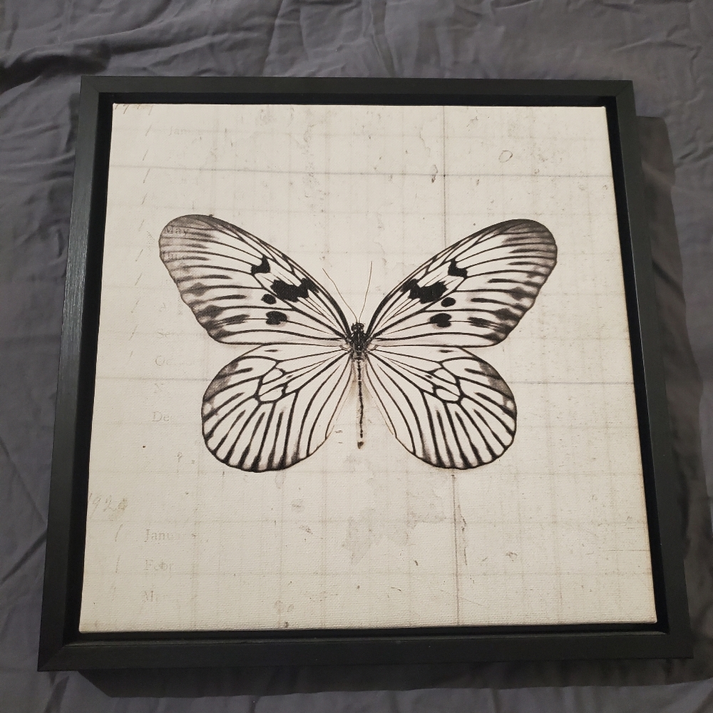 Rice Paper Butterfly 14-Inch Square Framed Canvas Wall Art